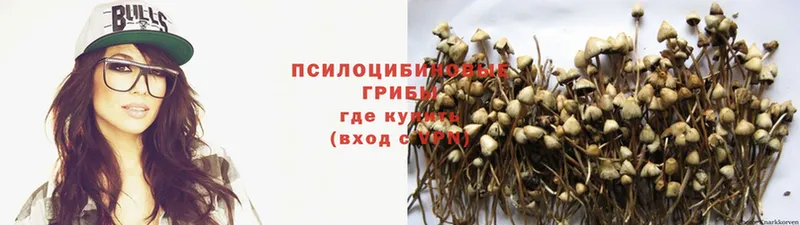 Галлюциногенные грибы мицелий  купить наркотики сайты  hydra ONION  Белый 